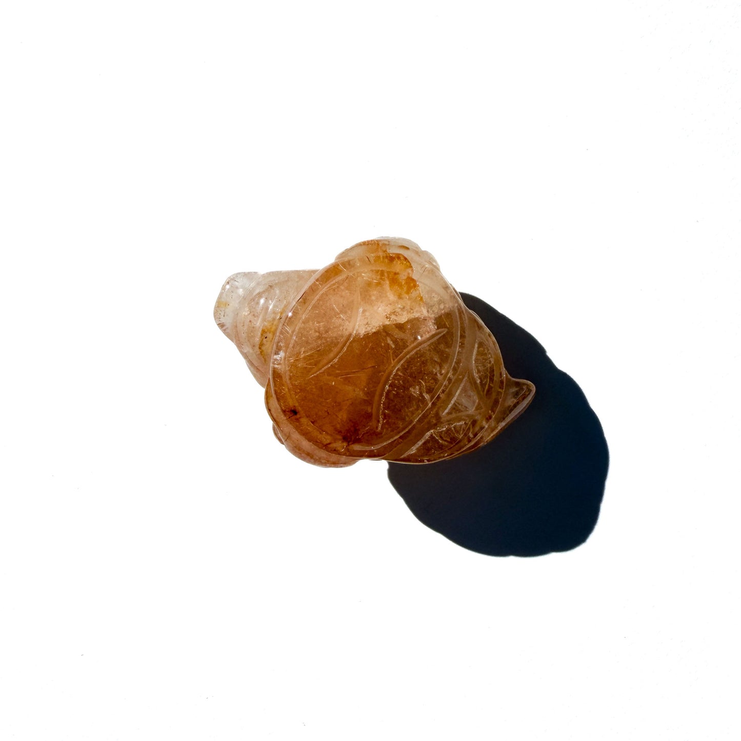 Golden Rutile Mini & Standard Size Crystal Money Toad: The Abundance Amplifier