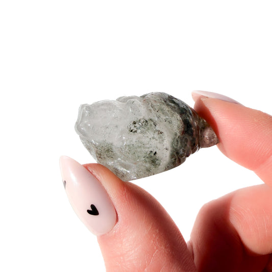 Lodolite Garden Quartz Mini Crystal Money Toad: The Cycle Breaker