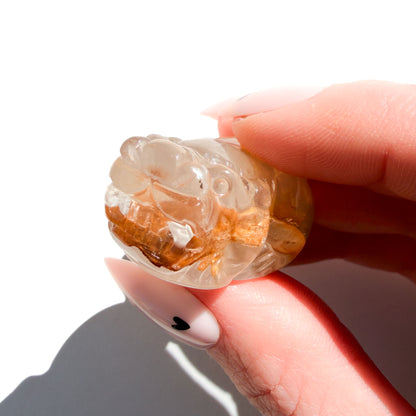 Lucky Golden Healer Manifesting Crystal Pi Xiu