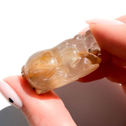 Lucky Golden Healer Manifesting Crystal Pi Xiu