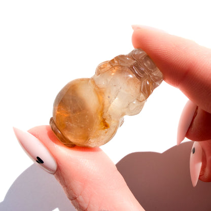 Lucky Golden Healer Manifesting Crystal Pi Xiu