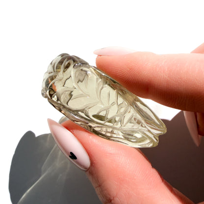 Metamorphosis Citrine Cicada Crystal