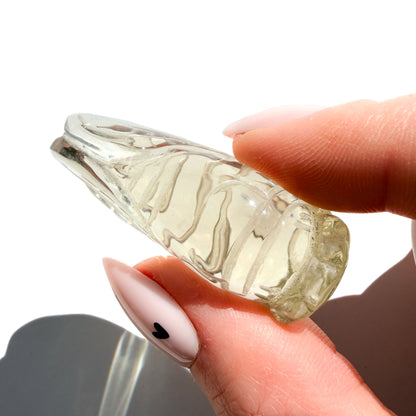 Metamorphosis Citrine Cicada Crystal