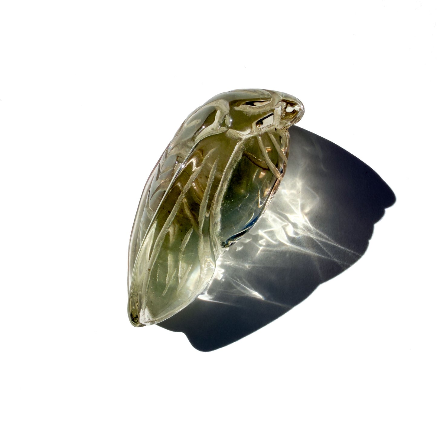 Metamorphosis Citrine Cicada Crystal