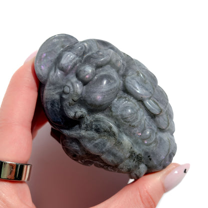 Purple Flash Labradorite Crystal Money Toad Manifester