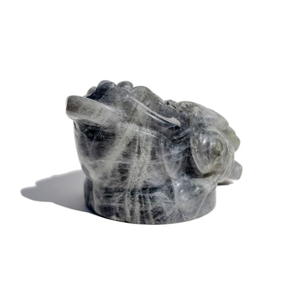 Purple Flash Labradorite Crystal Money Toad Manifester