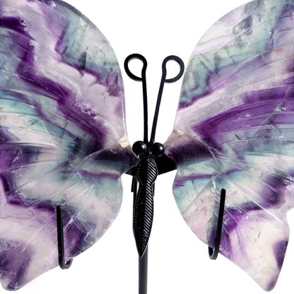 Rainbow Fluorite Crystal Butterfly Wings (with stand)