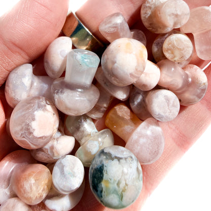 Sakura Flower Agate Mini Crystal Mushroom