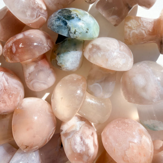 Sakura Flower Agate Mini Crystal Mushroom